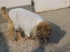 Filename=Jenny_036.jpg
Filesize=256KB
Dimensions=1024x768
Date added=Nov 14, 2006 Jenny_036.jpg